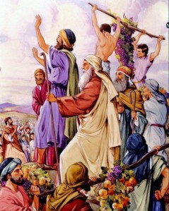 Moses sent twelve spies into Canaan to see what it was like. Ten gave a bad report of the danger, while Joshua and Caleb gave a good report. (Numbers 13).