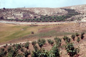 Ziph area, where David hid from Saul and the Ziphites betrayed David.